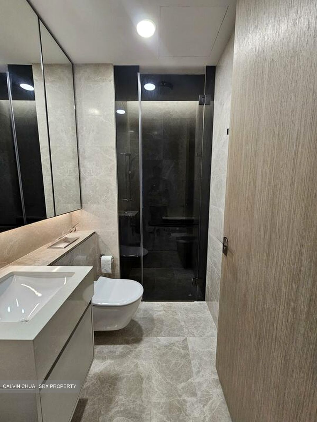 Amber Park (D15), Condominium #495895601